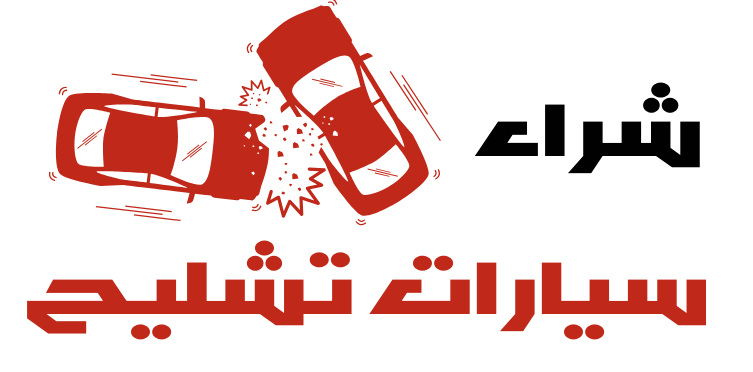 Copy of Copy of Copy of Copy of Black and Blue Festive Flat Illustrated Car Wash Service Logo